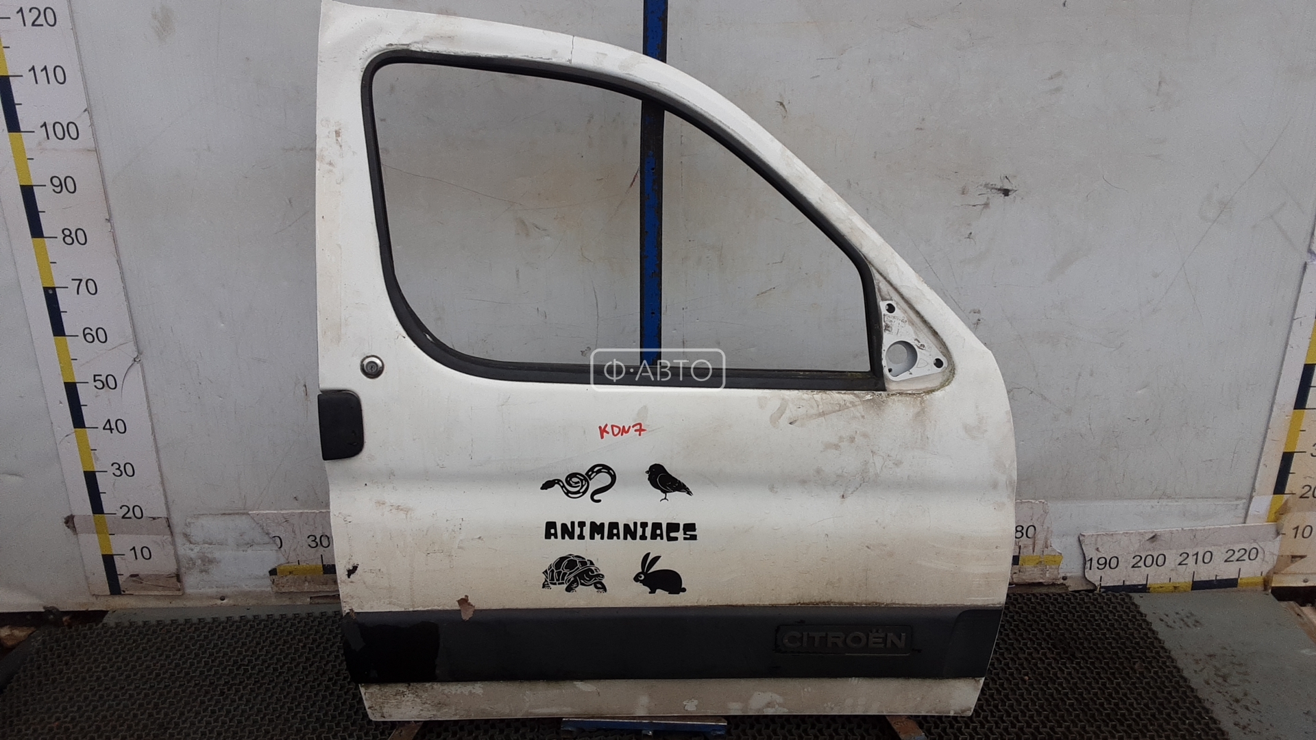 Дверь передняя правая