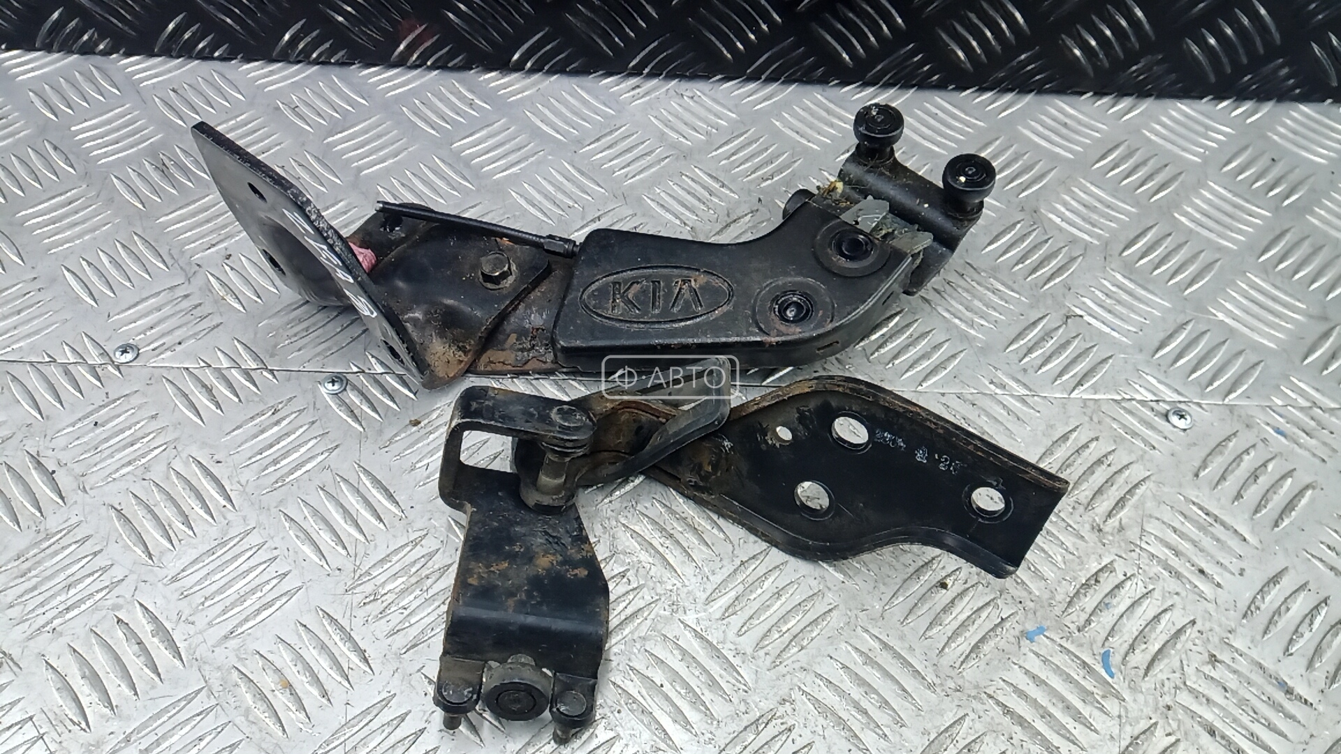 Петля двери задней правой