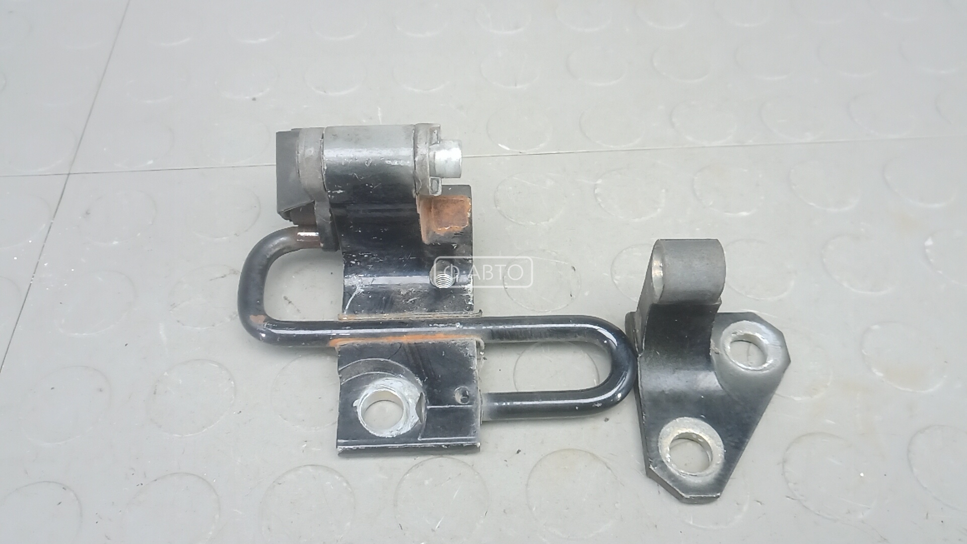 Петля двери задней правой