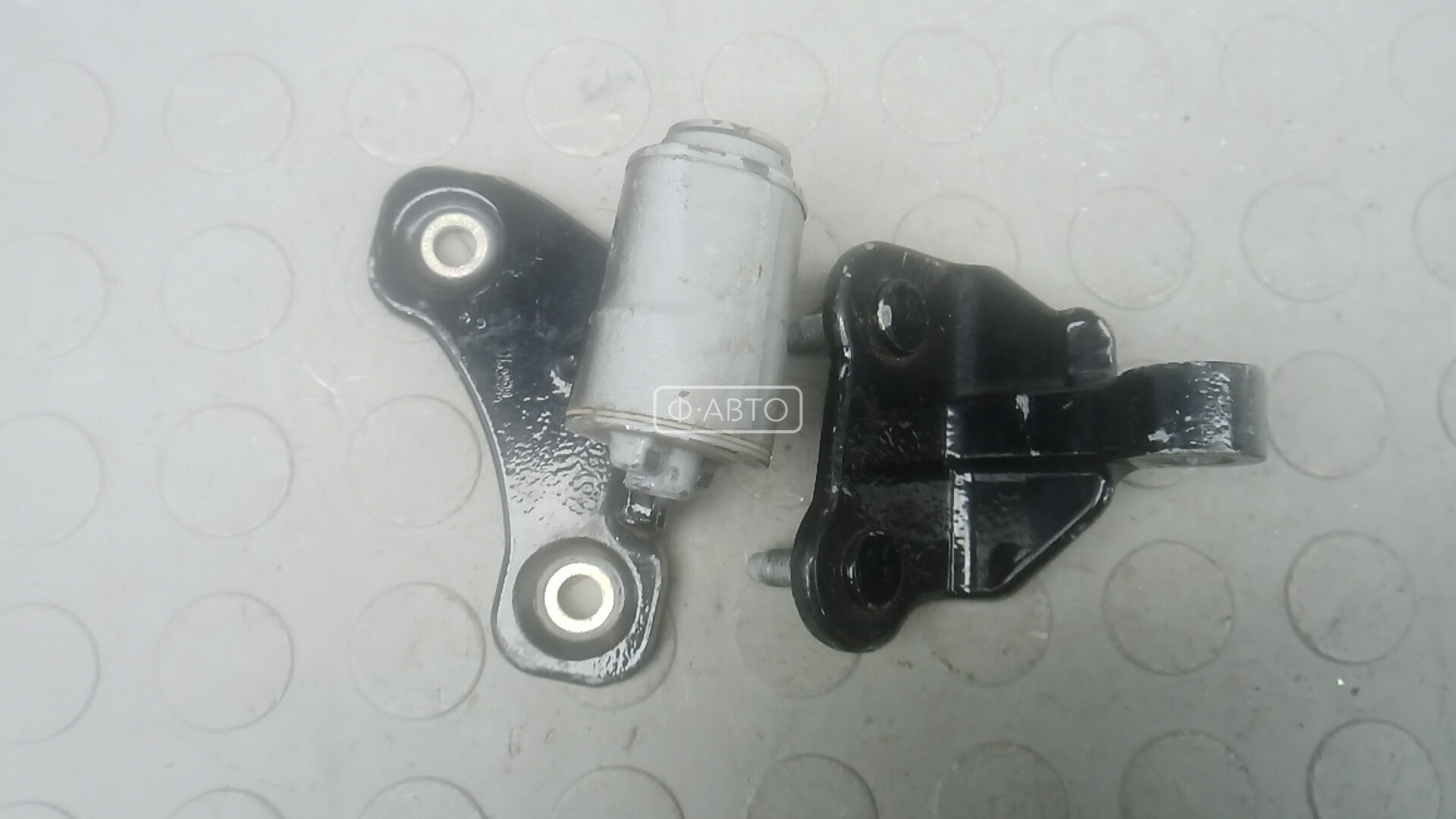 Петля двери задней левой