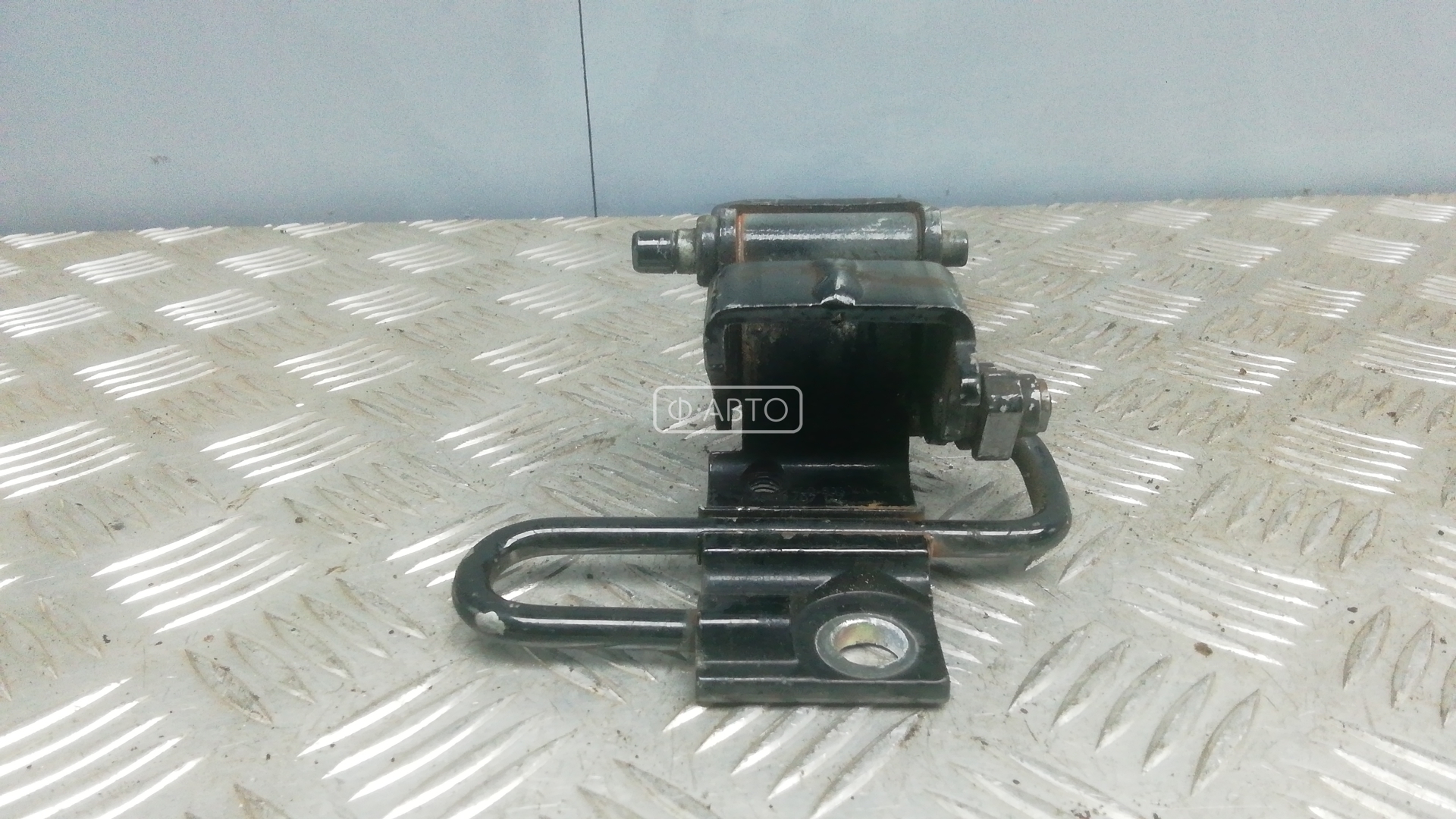 Петля двери задней левой