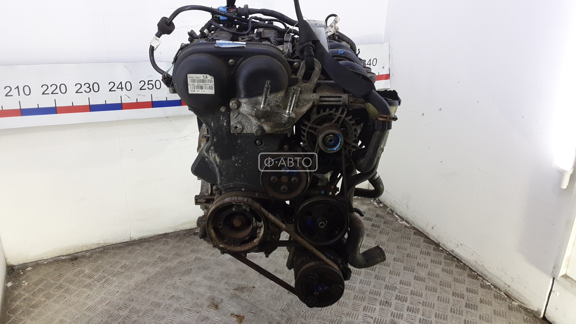 Двигатель бензиновый FORD FOCUS