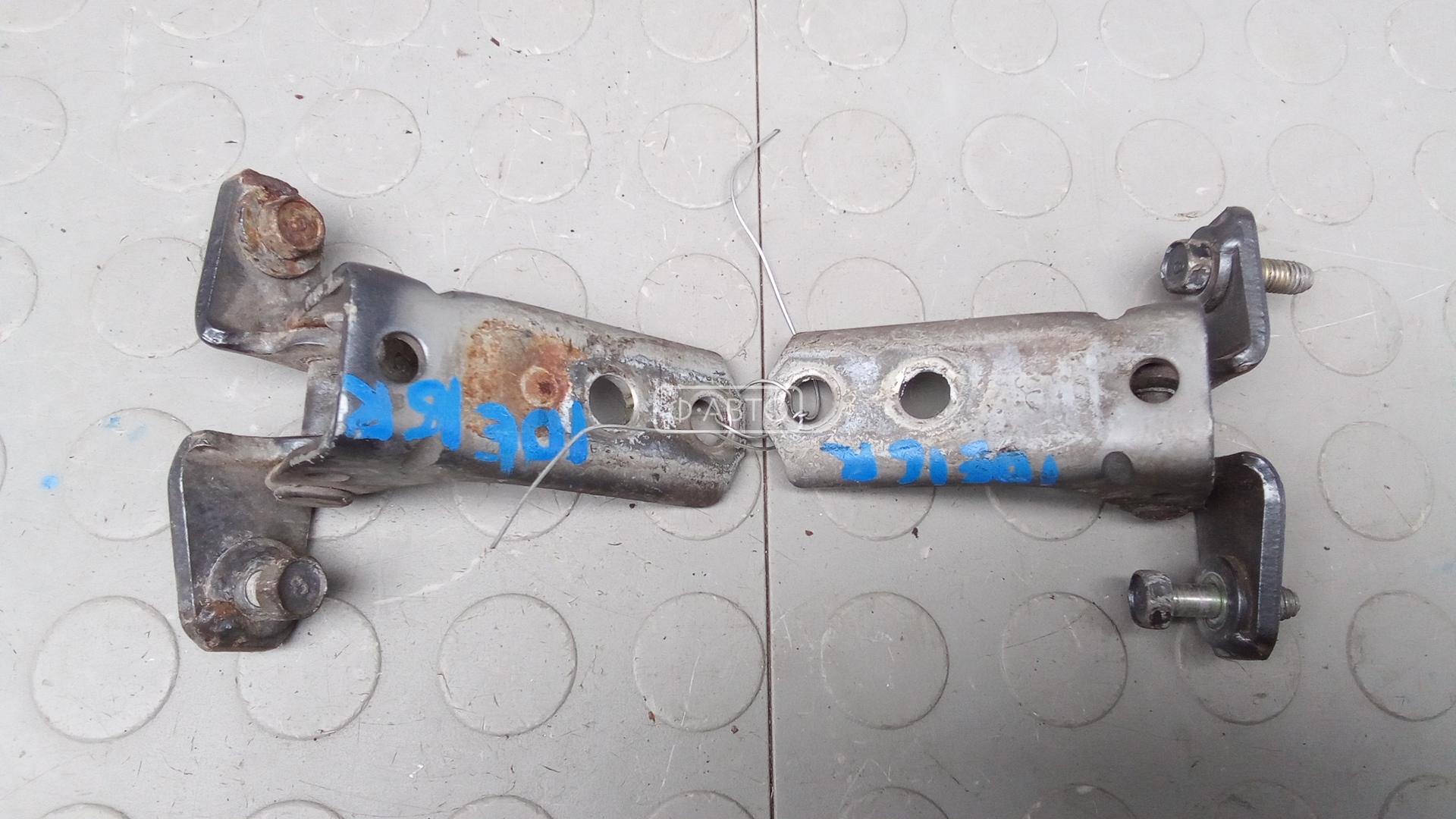 Петля передняя правая