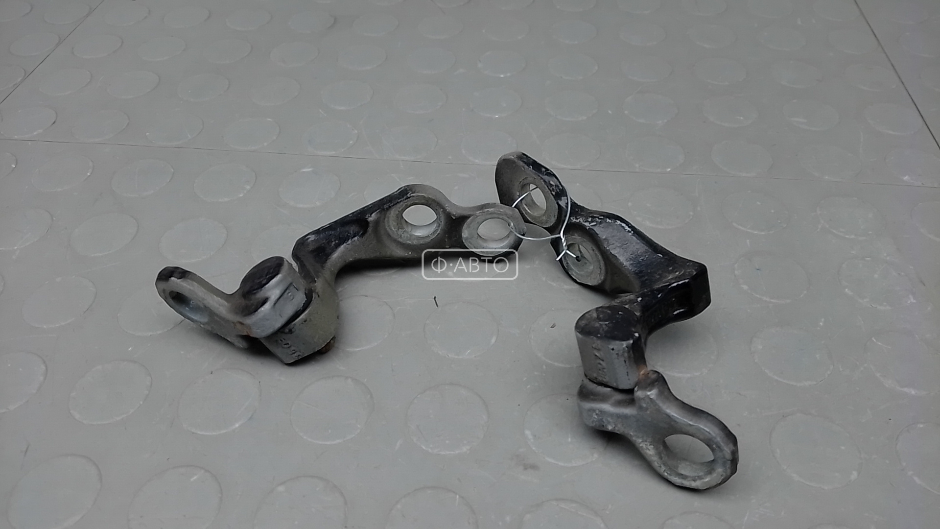 Петля двери задней правой