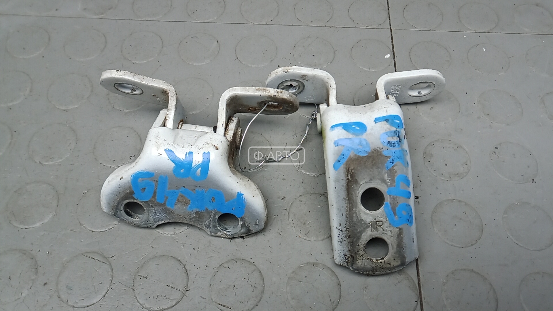 Петля передняя правая