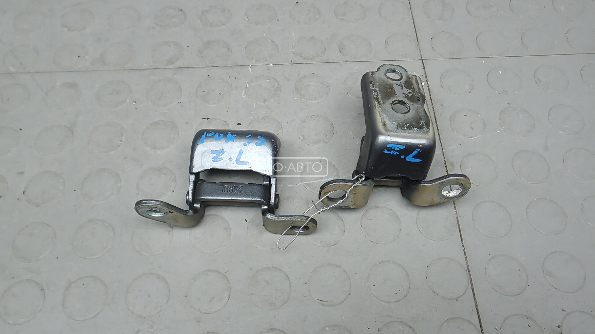 Петля двери задней левой