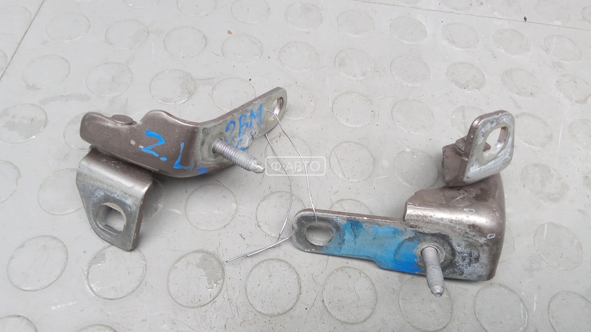 Петля двери задней левой