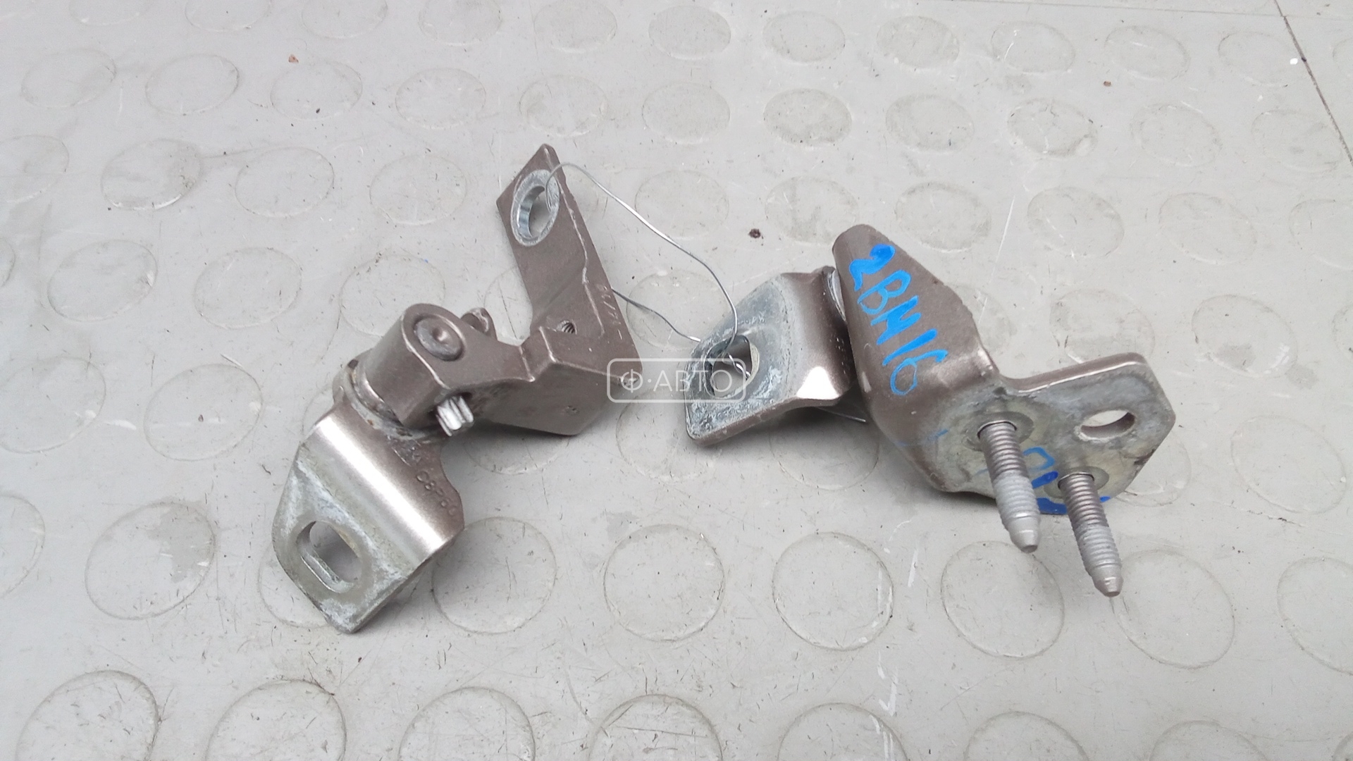 Петля передняя левая